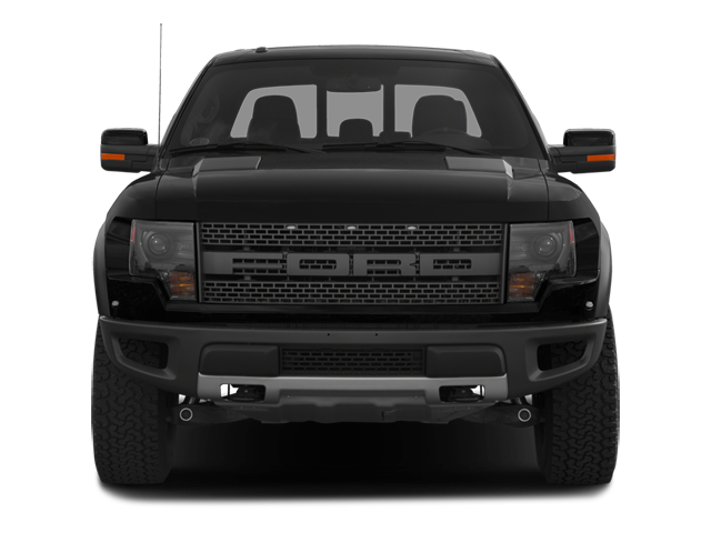 2014 Ford F-150 SVT Raptor - Photo 15